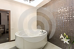 Detail of a corner shower jacuzzi with wall mount shower attachment