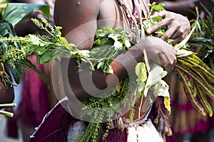 Detail of costume dancer on Sepik River, Papua New Guinea