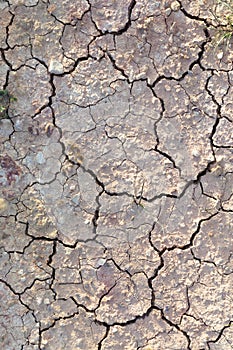 Detail of cracked loam