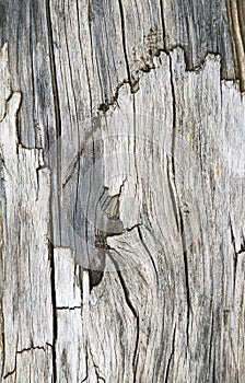 Detail of cracked old wood