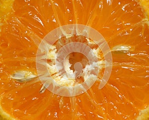 Detail of cut Nagpur orange fruit