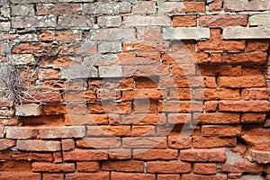 Detail of a dated wall in Burano island, Venice