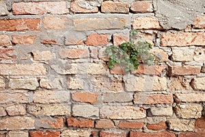 Detail of a dated wall in Burano island, Venice