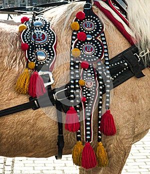 Detail of decorative leather harness on brown horse.