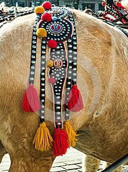 Detail of decorative leather harness on brown horse.