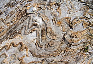 Deformed, curved layers in rock