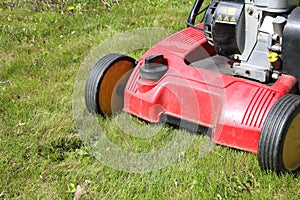 Detail of dethatcher, also known as lawn scarifier, working on m