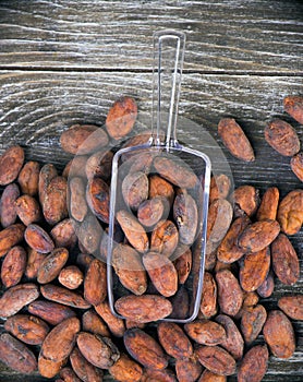 Detail of dried cacao beans on a scoop