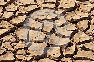 Detail dry cracked earth texture