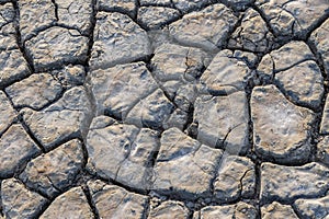 Detail of dry cracked mud