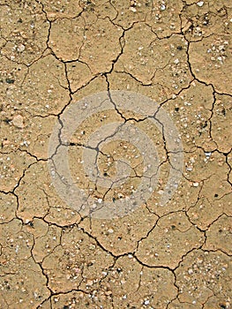 Detail of dry loam earth