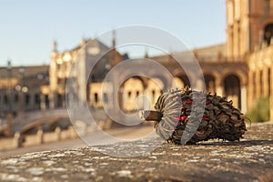 Detail of a dry seed of the trees that inhabit the Plaza de EspaÃ±a in Seville.