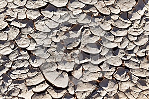 Detail of drying clay in the Namib desert