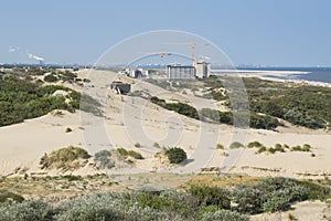 Detail of dunes park featuring bushes , sand and sea skyline on North Sea coast near the Hague