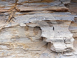 Detail of Eroded Sandstone Cliff Face, Sydney, Australia