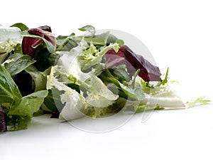 Detail of escarole lettuce leaves and Italian lettuce photo