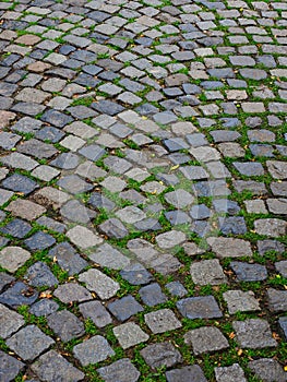 Detail of European Natural Cobble Stones