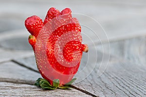 Closeup of an extraordinary shaped strawberry photo