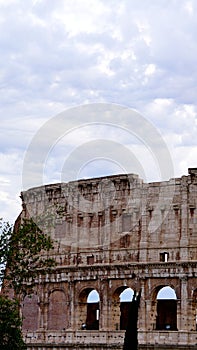 Detail of the facade with arches of the Colosseum Amphitheatrum Flavium with trees in front