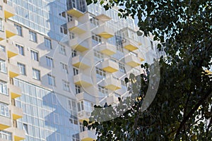 Detail of the facade of a multistory building and a tree
