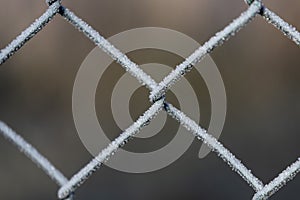 Detail of a fence covered with morning frost