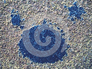 Detail of fiber in old worn carpet texture