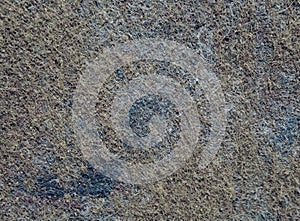 Detail of fiber in old worn carpet texture