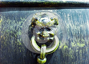 Detail of fire cistern, Forbidden City, Beijing, China