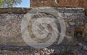 Detail of the Fish designed Roman mosaics in the Bathing Pool at the Water Temple of the Ruins of Milreu.