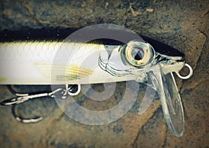 Detail of floating surface fishing lure plug minnow