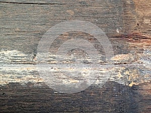 detail of the floor of an old wooden fishing boat in the background