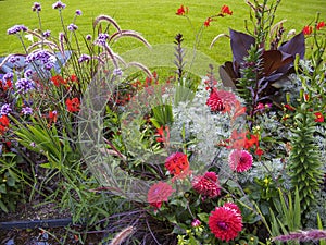 detail of flower garden with green lawn background