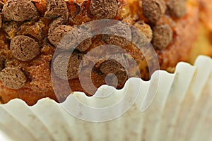 Detail of fluffy chocolate chip muffins photo