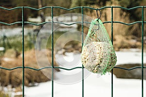 Detail of food for birds hanging on a fence so they can have something to eat during winter