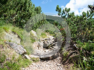 Detail of foothpath