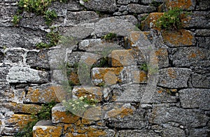 Detail of Fort du Cabellou, Southern Brittany photo