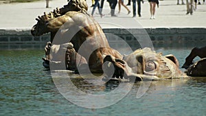 Detail of the fountain of Apollo in Versailles gardens. France