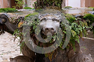 Detail of the fountain in the cloister - the basilica of Cosmas and Damian (Santi Cosma e Damiano) in Rome