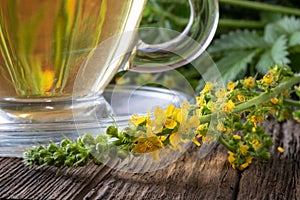 Detail of fresh agrimony plant, with tea in the background