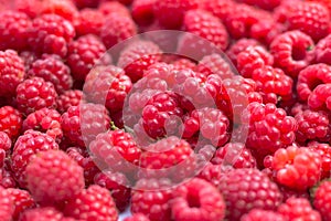 Detail of fresh and sweet raspberries.Berries close up.Raspberry fruit background. Beautiful selection of freshly picked