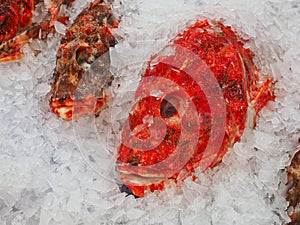 Detail of Fresh Whole Rock Cod Fish on Ice