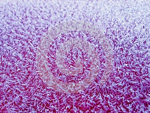 Detail of frost on a car bonet