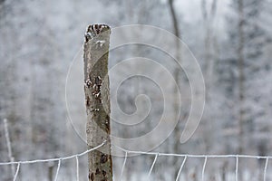 Detail of a frozen iron fence on wooden pole during the winter in Czech republic