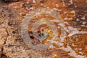 Detail of Gaet'ale Pond in Danakil depression, Ethiopia. Hypersaline lake with bubbling ga