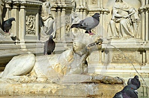 Detail of Gaia Fountain from Siena, Italy