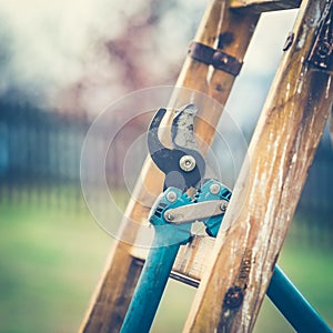 Detail of Gardening Secateurs Hang Up on a Gardening Ladded