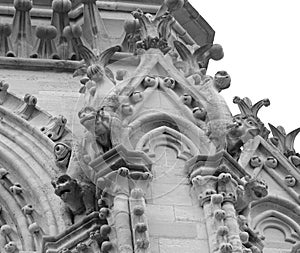 Detail of gargoyle of Basilica of Notre Dame in Paris France