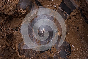 Detail of Glass Piece Surrounding by Mud photo