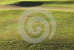 Detail of a golf course grass