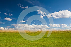 Detail of golf course